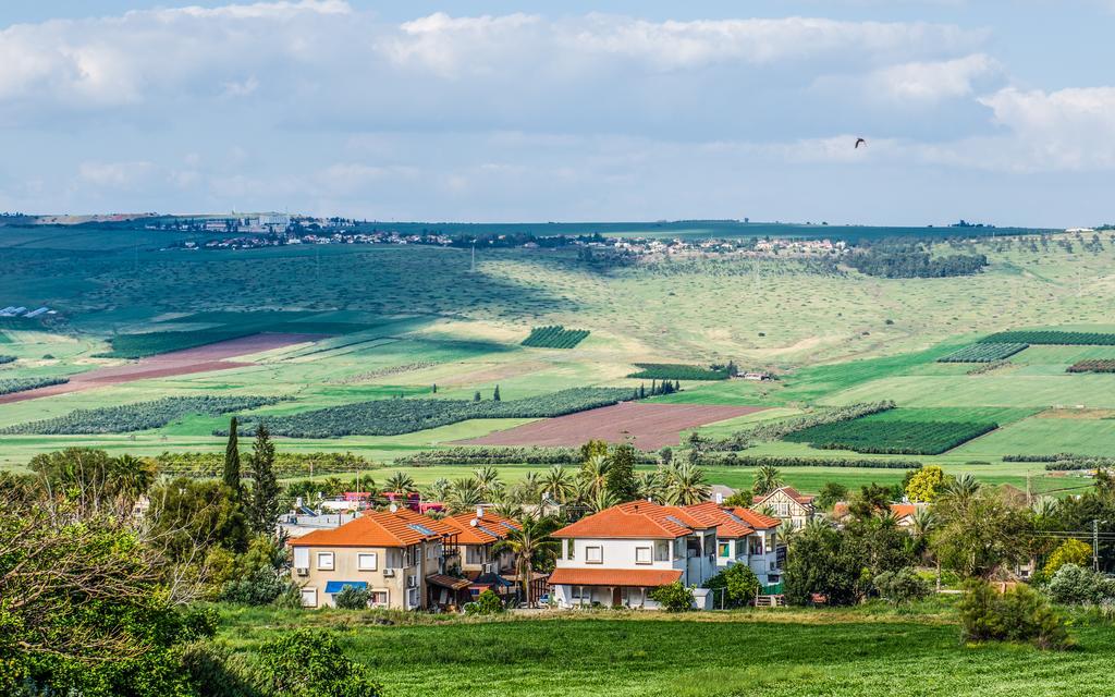 הארחה - אביגיל *